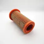 Gfe1062 Air Filter Mgb Usa Spec Part