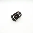 157229 Valve Spring Outer 1500 Part