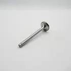 Cam1717 Valve Exhaust B67> L/F Part