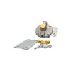 G465 Petrol King Fuel Regulator ? 6Mm 1/4?   Part
