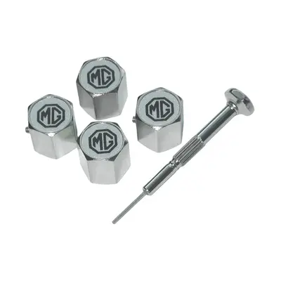 View all Anti-Theft Valve Caps