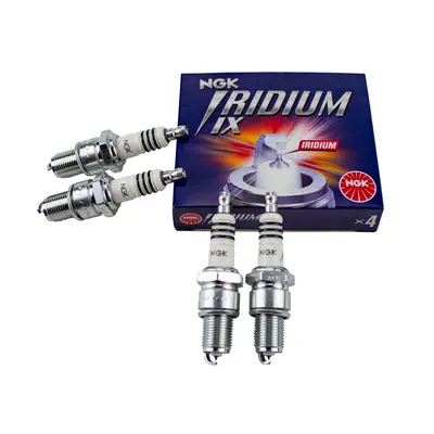 View all Spark Plugs
