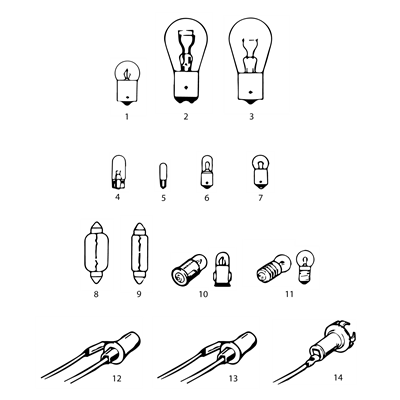 Bulbs & Bulb Holders