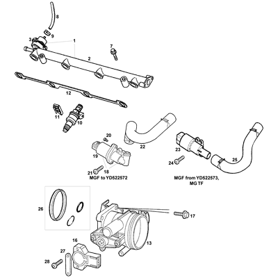 Fuel Injection & Throttle Body