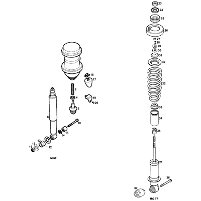 Rear Springs & Shock Absorbers