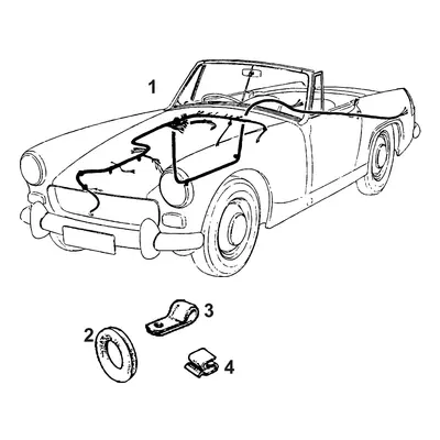 View all Wiring Looms