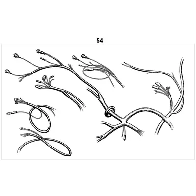 View all Wiring Looms