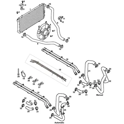 View all Radiator & Coolant Hoses