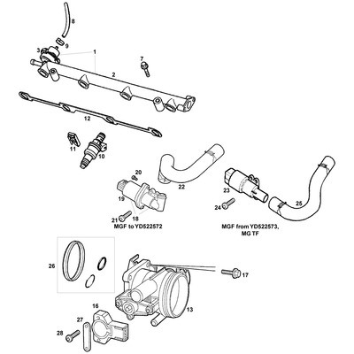 View all Fuel Injection & Throttle Body