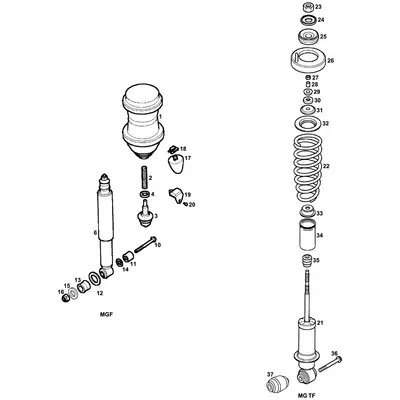 View all Rear Springs & Shock Absorbers