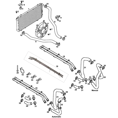 Radiator & Coolant Hoses